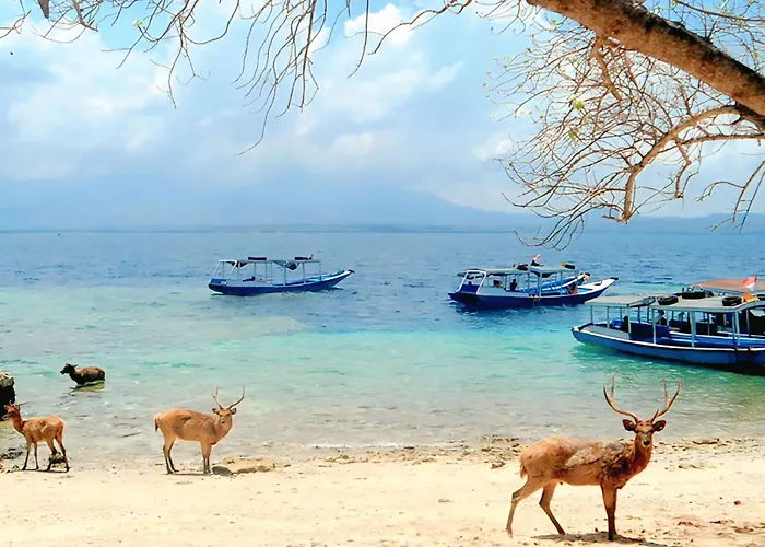 Ferienpark Dewantara Bali Umeanyar